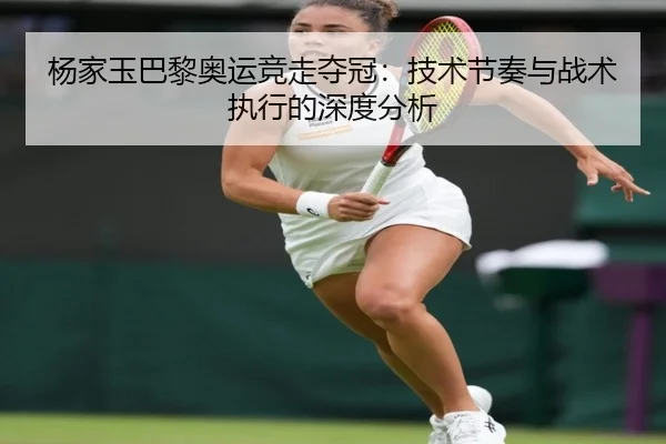 yang-jia-yu-ba-li-ao-yun-jing-zou-duo-guan-ji-shu-jie-zou-yu-zhan-shu-zhi-xing-de-shen-du-fen-xi-2-394.jpg